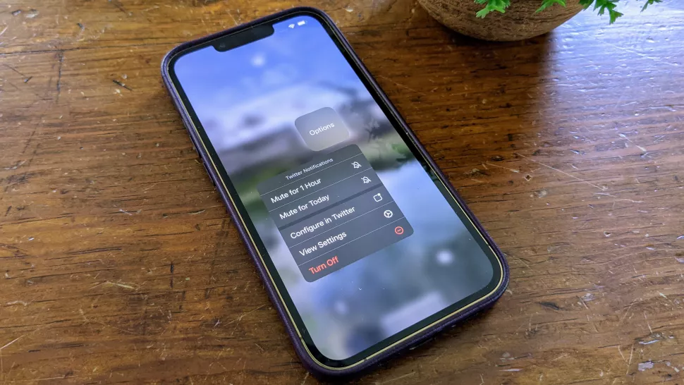 How to silence notifications on iPhone